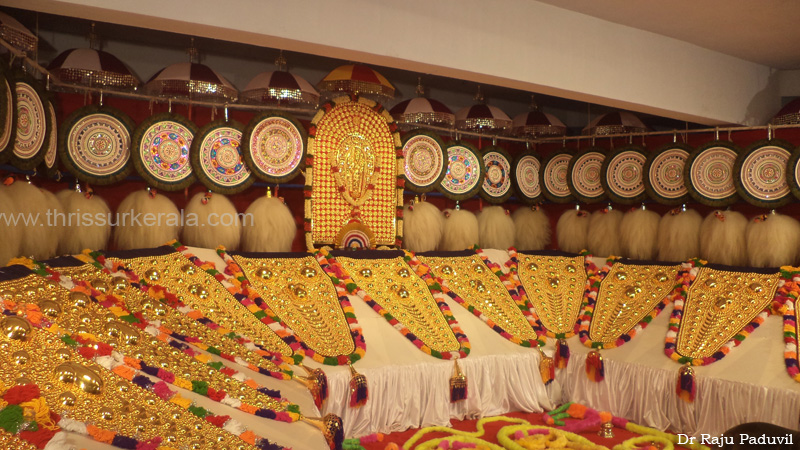 thrissur-pooram-2013-1 (3)